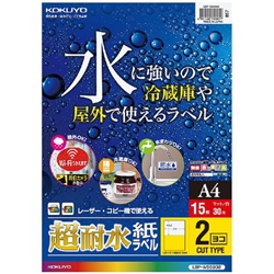 カラーLBP&カラーコピー用超耐水紙ラベル A4・2面・15枚 LBP-WS6902