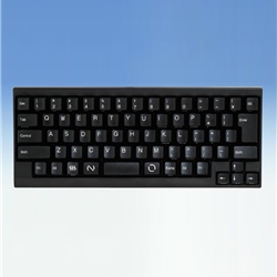 Happy Hacking Keyboard Lite2 日本語配列かな無刻印/黒/USB PD-KB220B/U